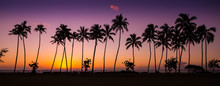 Tropical Sunrise With Palm Trees At Dawn In The Town Of Kapaa, Kauai, Hawaii