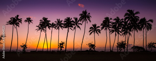 Cuadros en Lienzo tropical sunrise with palm trees at dawn in the town of Kapaa, Kauai, Hawaii