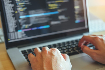 developing programmer development website design and coding technologies working in software company