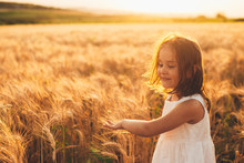 Portrait Of A Cute Little Girl Running And Touching Wheat Smiling In A Field Of Wheat Against Sunset.