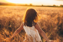 Back View Of A Lovely Little Girl Walking In A Wheat Field Touching Wheat With Hands Against Sunset.