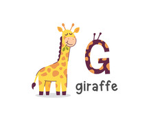 Vector Illustration Of Alphabet Letter G And Giraffe