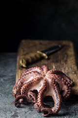 Wall Mural - Boiled fresh octopus ready for serve over vintage dark background