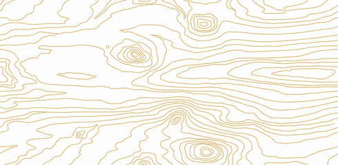 Seamless wooden pattern. Wood grain texture. Dense lines. Abstract white background. Vector illustration