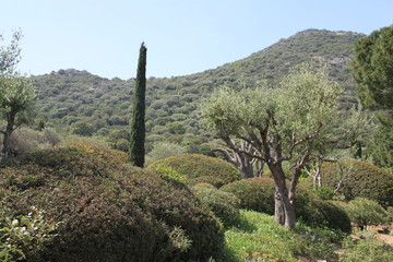 Parc de Saleccia