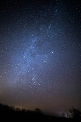 night landscape with milky way and trees. starry sky in summer. beautiful universe. space background
