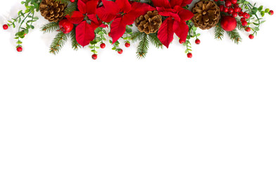 christmas decoration. flowers of red poinsettia, branch christmas tree, pine cones, ball, red berrie