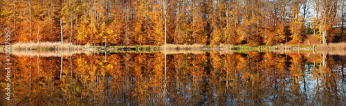 Dekoracja na wymiar  ciche-jezioro-w-parku-narodowym-muritz-jesien-odbija-sie-kolorowy-las-panorama