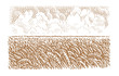 Wheat field illustration, vector. 