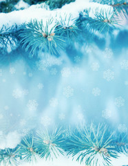 Winter christmas background with copy space, bokeh, snowflakes. Snowy landscape with fir branches. Blue toning