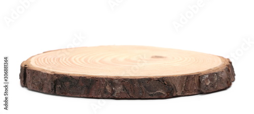 Cross section of tree trunk, stump, isolated on white background Poster Mural XXL