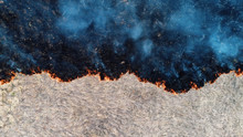 Forest And Field Fire. Dry Grass Burns, Natural Disaster. Aerial View. View Vertically Down, The Camera Hangs Motionless.
