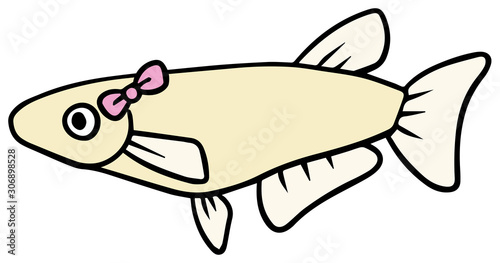 シンプルなメスのメダカのイラスト Buy This Stock Vector And Explore Similar Vectors At Adobe Stock Adobe Stock