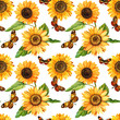 © Hanna - Watercolor sunflowers and butterflies, hand drawn floral illustration isolated on white background. Seamless pattern