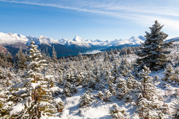 Wall Mural - Snow Covered Fir Trees on Bald Hills, Jasper National Park, Canada with Maligne Lake and Samson Peak in the background