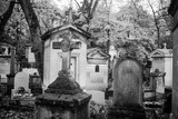 Fototapeta Na sufit - Paris, France - November 18, 2019: Graves and crypts in Pere Lachaise Cemetery, This cemetery is the final resting place for many famous people