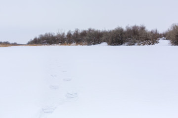 A man walks along a frozen lake strewn with snow. Winter landscape