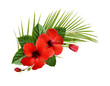 Red hibiscus flowers, buds and green leaves in a tropical corner arrangement