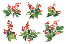 Christmas Watercolor Set Of Bouquet Arrangings With Holly Berries And Green Leaves