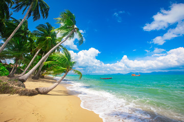 Wall Mural - beach and coconut palm trees. koh samui, thailand