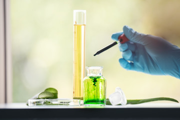 Wall Mural - hand of scientist working with aloe vera and glass tube with green, yellow liquid inside in the laboratory