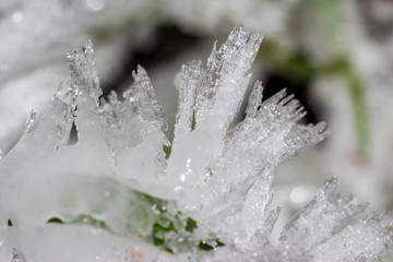 Sharp ice growths on grass and plants close-up