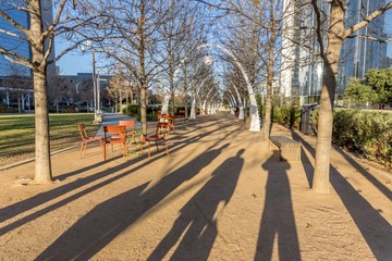 Sticker - View of the dried trees in a park captured in Dallas, Texas, United States