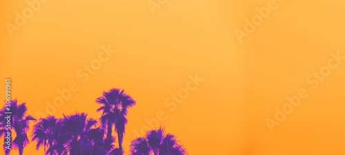 Fotografía Beautiful sunset of Los Angeles palm trees synth wave style