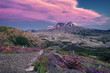 © Lukas Furlan - colorful cloud formation over volcanic mountain with flowers in foreground
