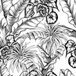 Seamless pattern with black and white tropical leaves. Large variegated leaves. Hand drawn vector illustration.