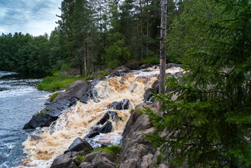 mountain fast bubbling river, river flow