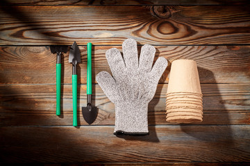 Wall Mural - Gardening tools on wooden background flat lay top view