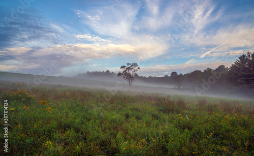 Fotografía Upstate New York in Sullivan county in summer with fog on the meadow