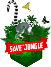 Vector Jungle Rainforest Emblem With Madagascar Lemur, Madagascan Sunset Moth And African Moon Moth