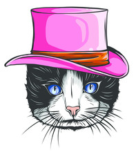 Vector Animal, Portrait Of Cat In Tall Hat