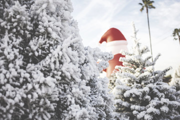 Wall Mural - A rustic image of white flocked Christmas trees and an inflatable Santa located at a tree lot.