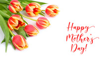 Text "Happy Mother's Day" On White Background. Bunch Of Red And Yellow Stripy Tulips In The Corner, Isolated On White, Panoramic Composition.