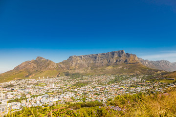 Wall Mural - Wide angle view of Table Mountain from Signal Hill in Cape Town