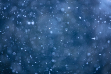 falling snow 