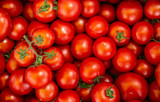 Fototapeta Most - organic tomato closeup vegetable background Top view