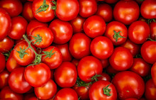 Organic Tomato Closeup Vegetable Background Top View