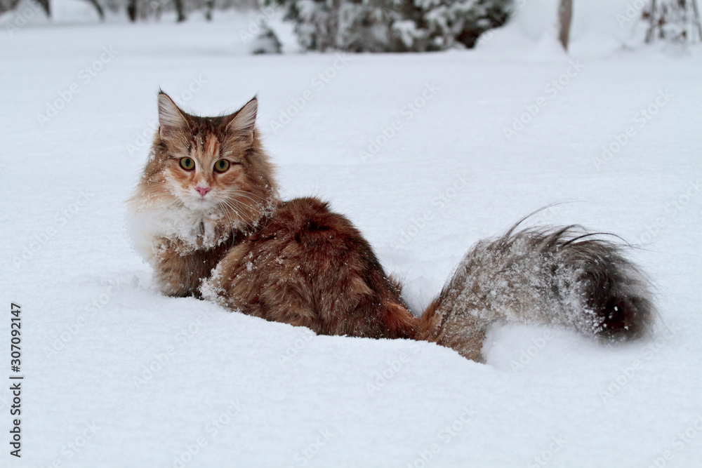 立体・オブジェ Winter journey - vintage cats ver.1 Winter