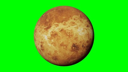 Wall Mural - planet Venus rotating, solar system world in outer space isolated on green screen background, 4k loop