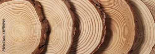 Photographie Cross section of tree trunk, stump, background and texture