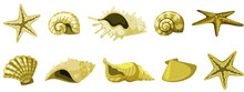 Set Of Isolated Seashells In Yellow Color