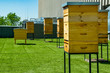 © diesirae - Hives in apiary on the roof of modern building in the downtown