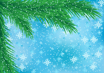 Wall Mural - Christmas background with fir branches on a winter blue background.