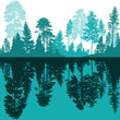 blue fir forest silhouette and reflection