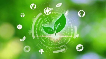 environment icons over the Network connection on nature background, Technology ecology concept. Hand holding and protection with environment icons over the Network connection on nature background