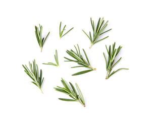  fresh rosemary isolated on white background, Top view.